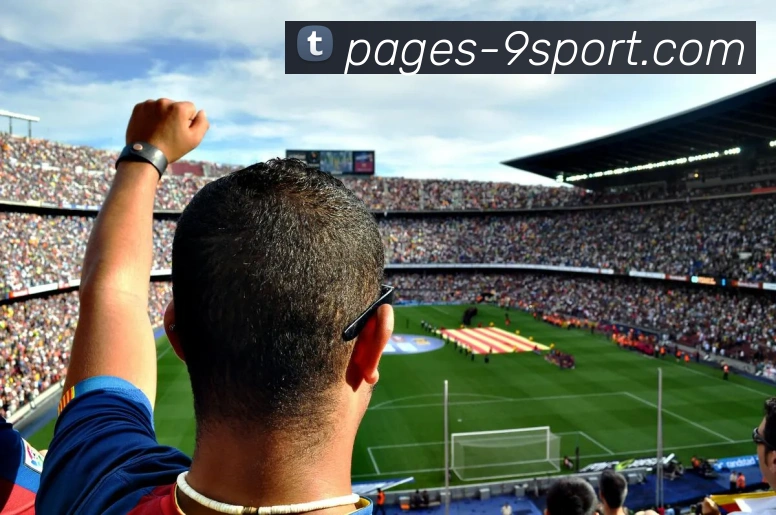 多媒体互动体验